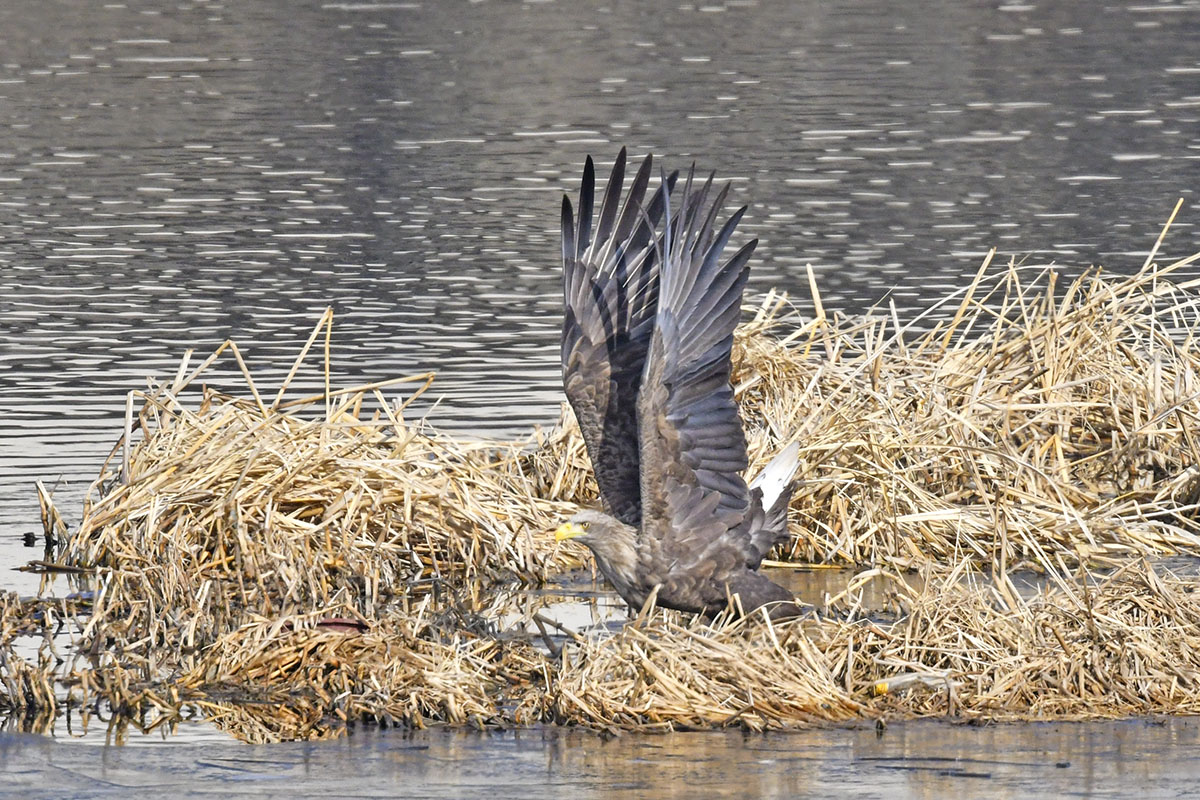   | PHOTO BY : 불뫼/손양조  |