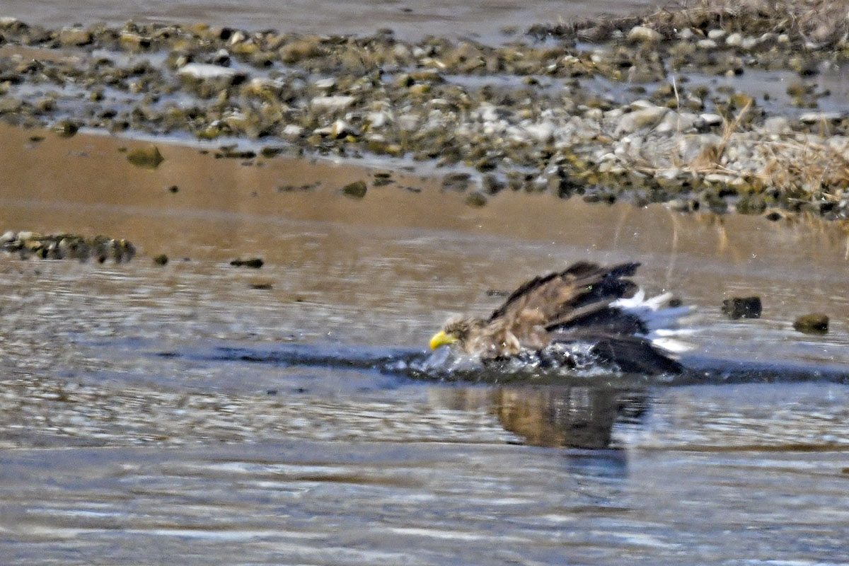   | PHOTO BY : 불뫼/손양조  |