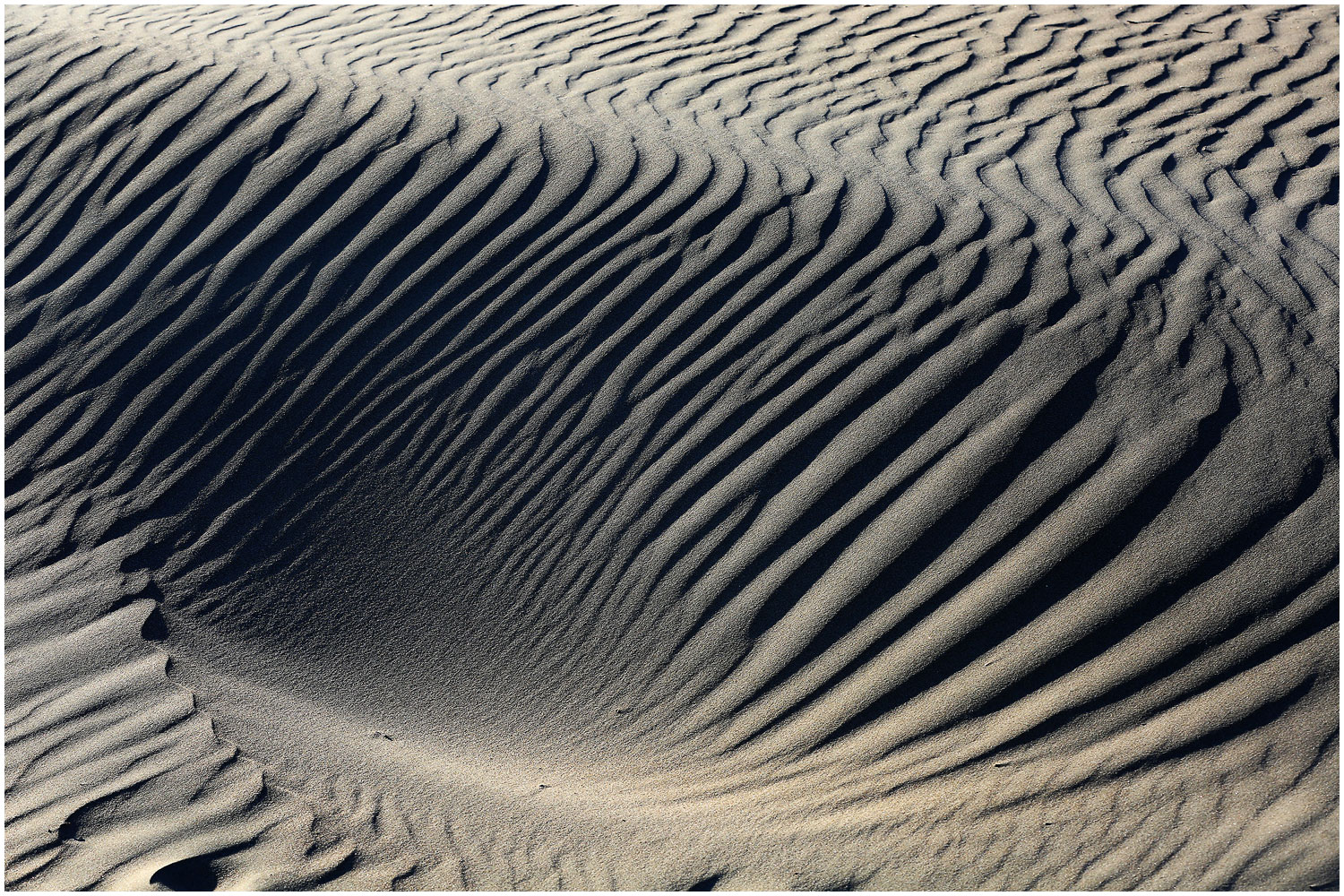   | PHOTO BY : 몰운대/조태열  |