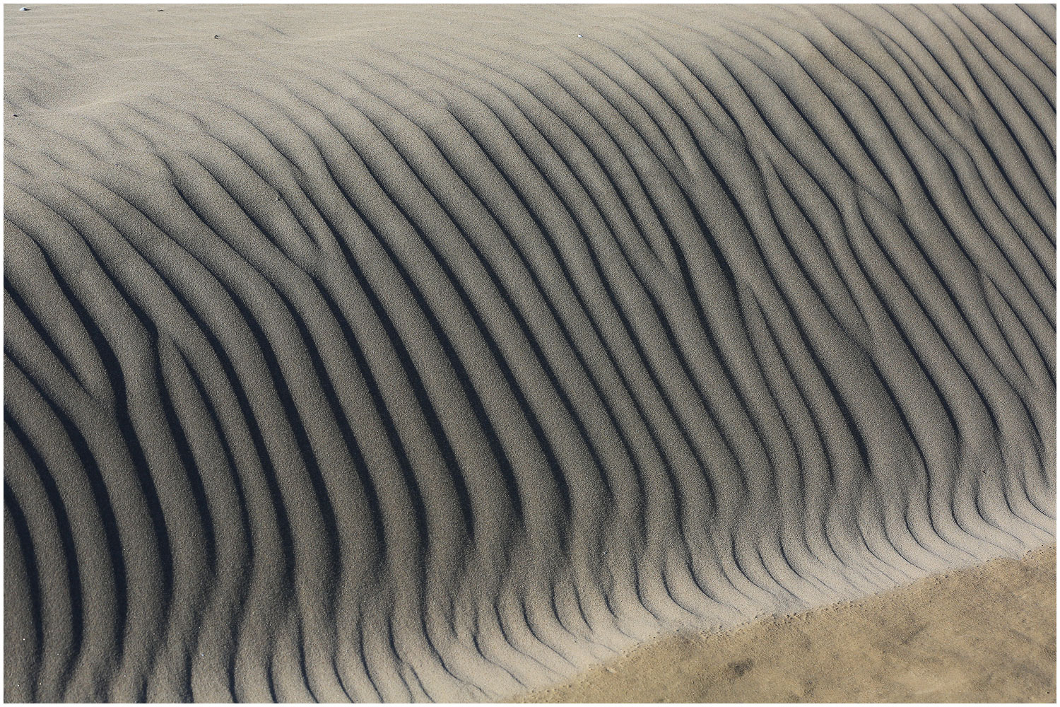   | PHOTO BY : 몰운대/조태열  |