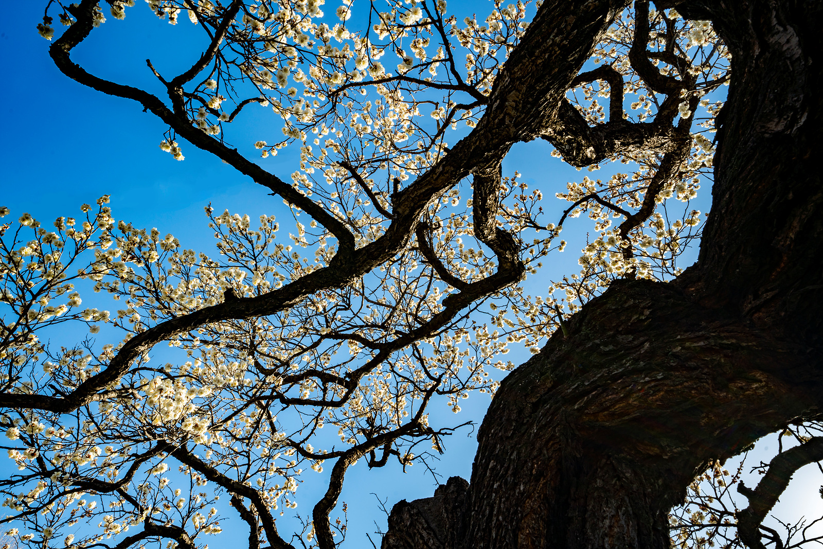 | PHOTO BY : 실상/김익택  |