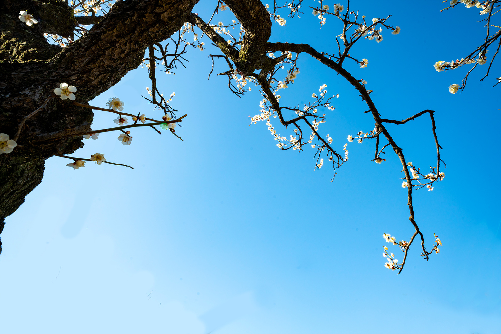 | PHOTO BY : 실상/김익택  |