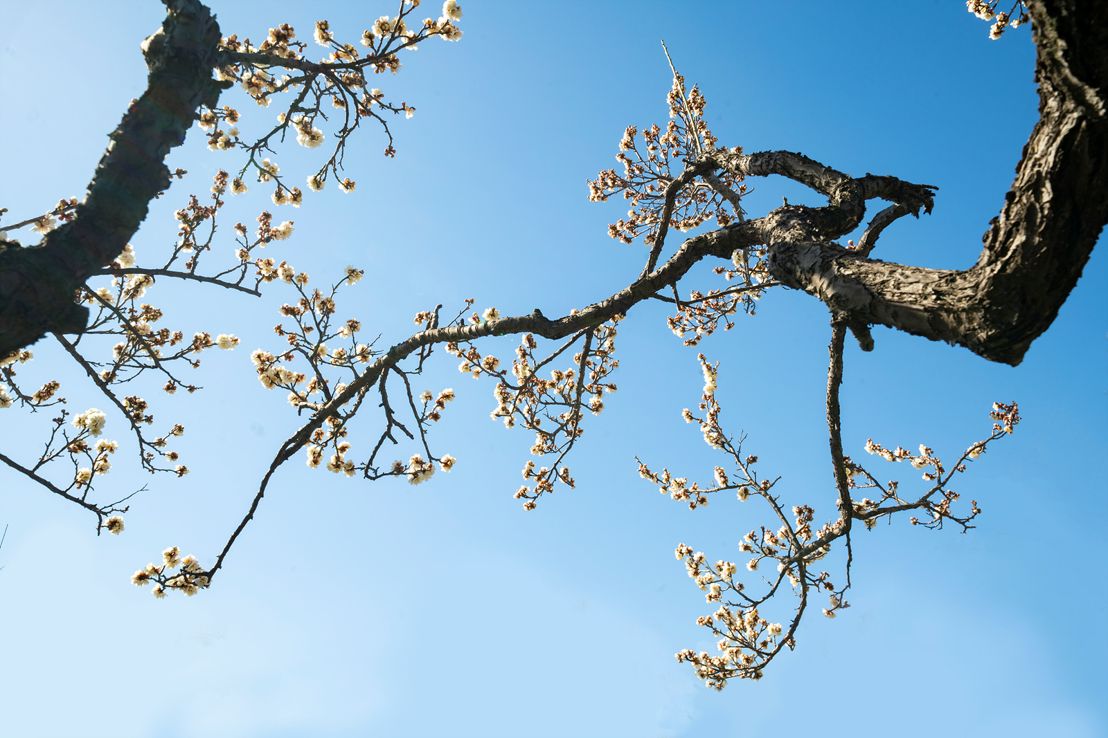 | PHOTO BY : 실상/김익택  |