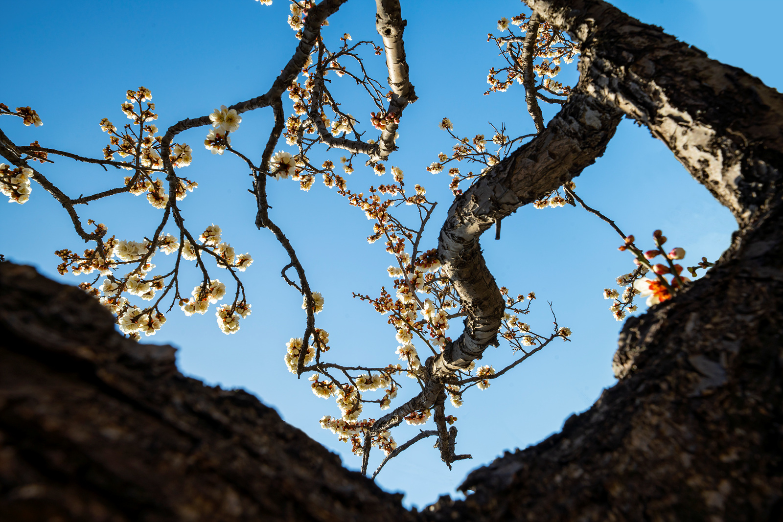 | PHOTO BY : 실상/김익택  |