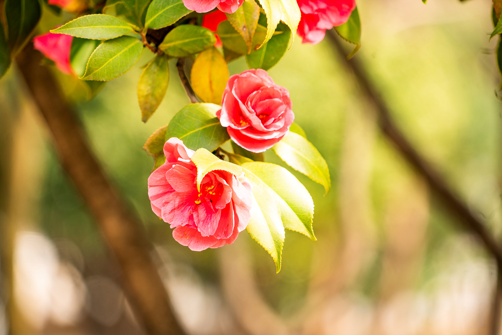   | PHOTO BY : 실상/김익택  |