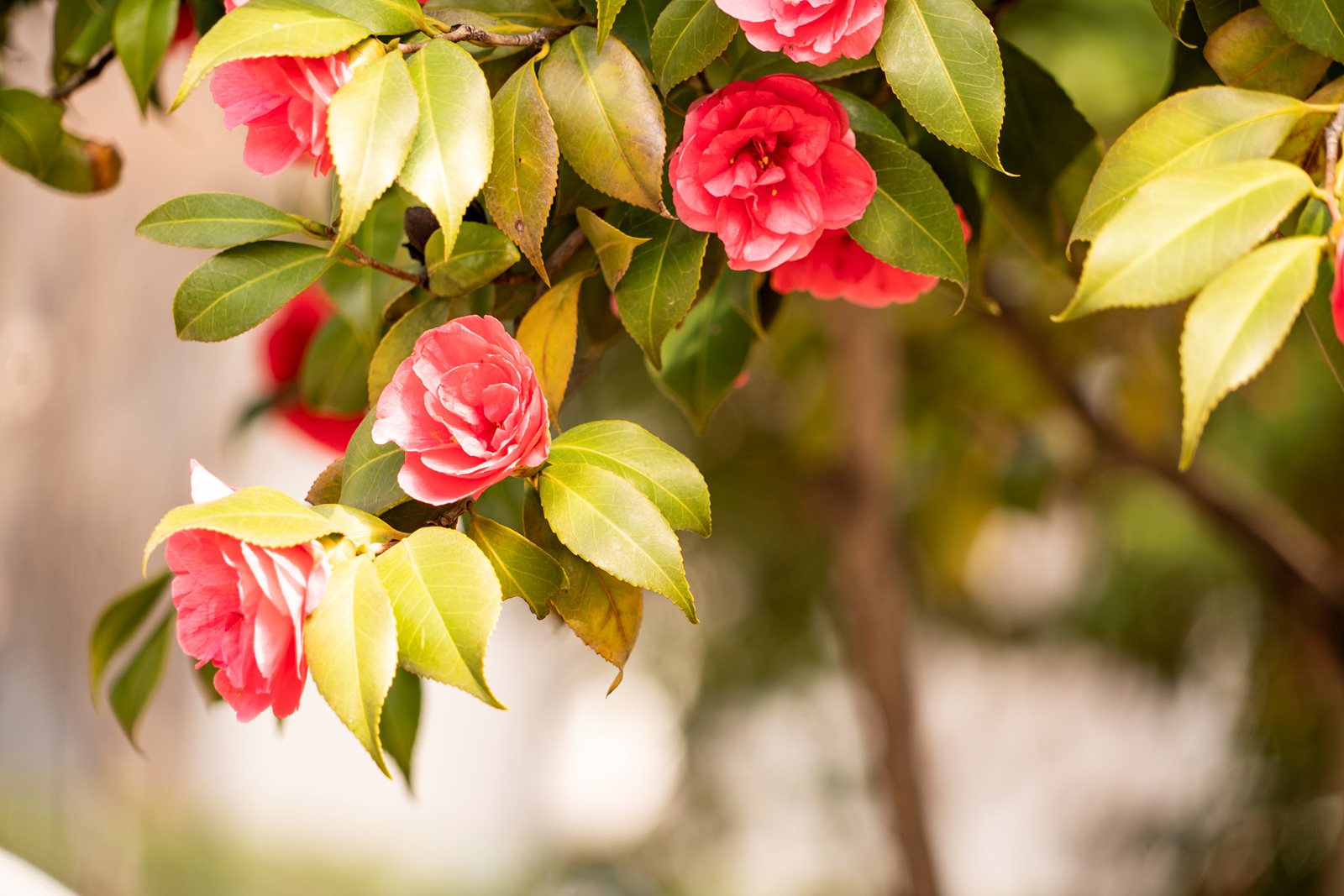   | PHOTO BY : 실상/김익택  |