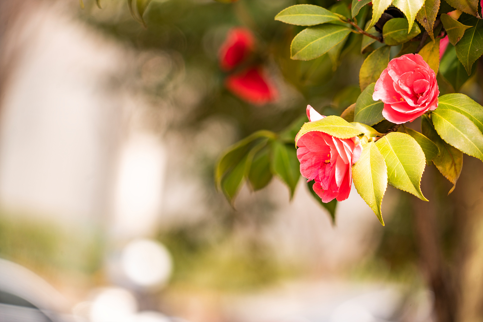   | PHOTO BY : 실상/김익택  |