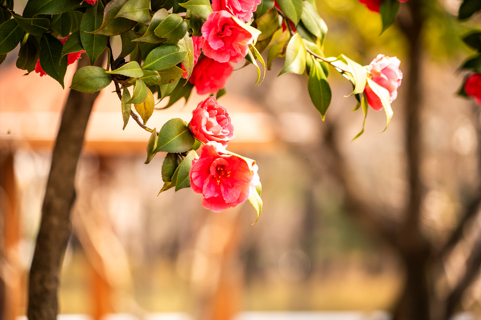   | PHOTO BY : 실상/김익택  |