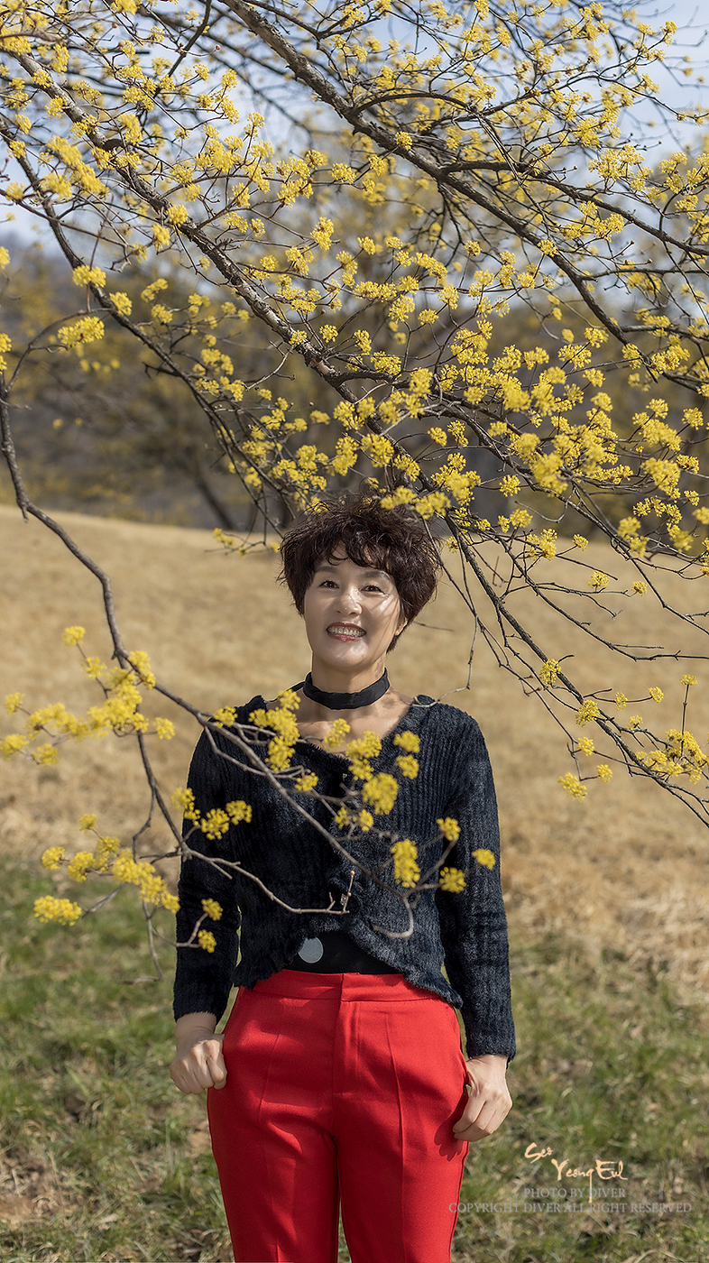   | PHOTO BY : 다이버/서영을  |