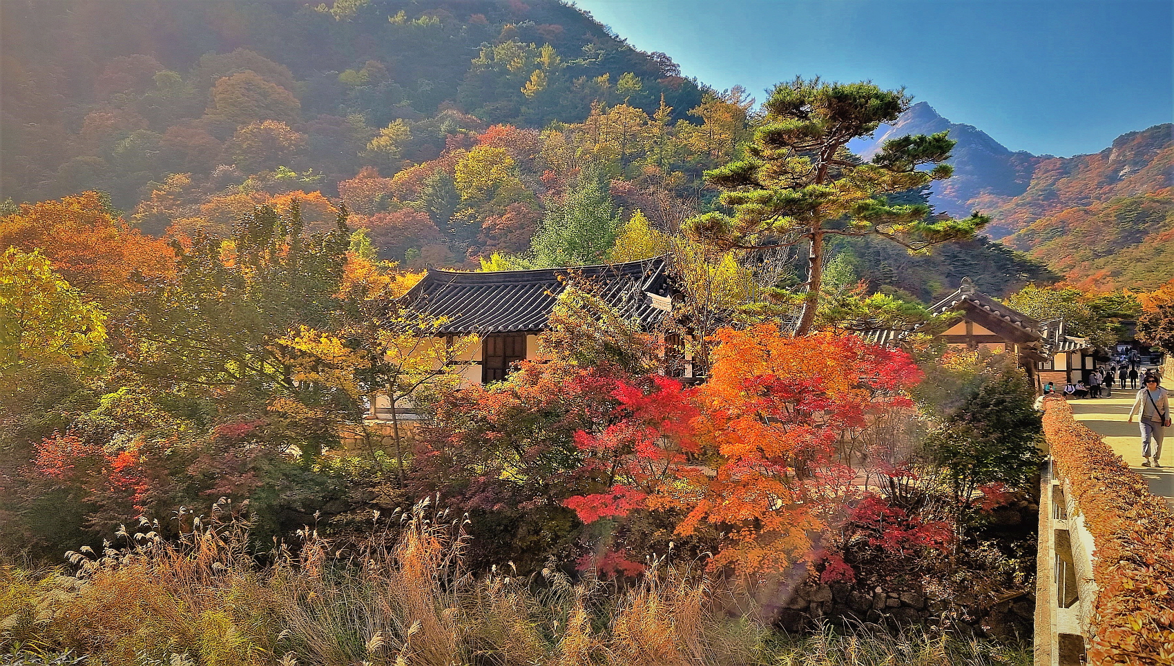   | PHOTO BY : 김세환/명품  |