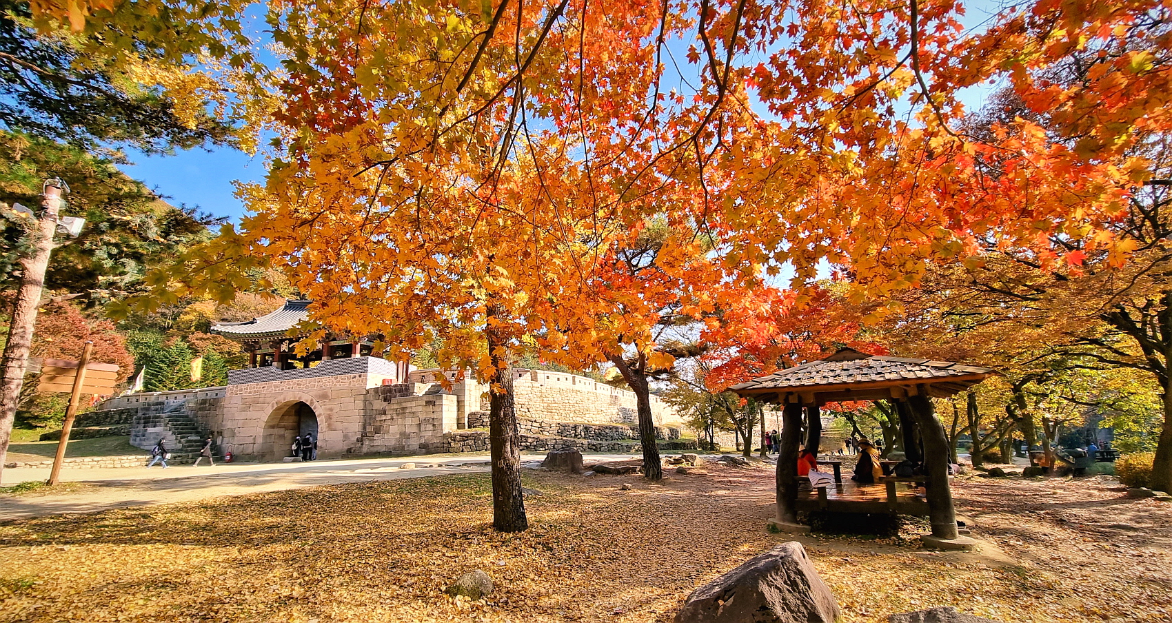   | PHOTO BY : 김세환/명품  |