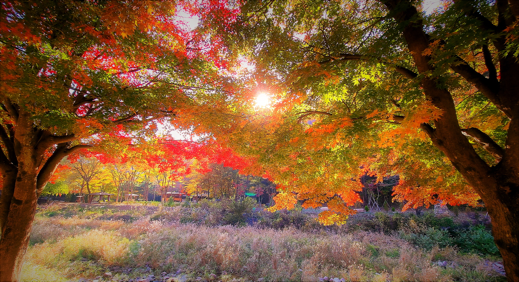   | PHOTO BY : 김세환/명품  |