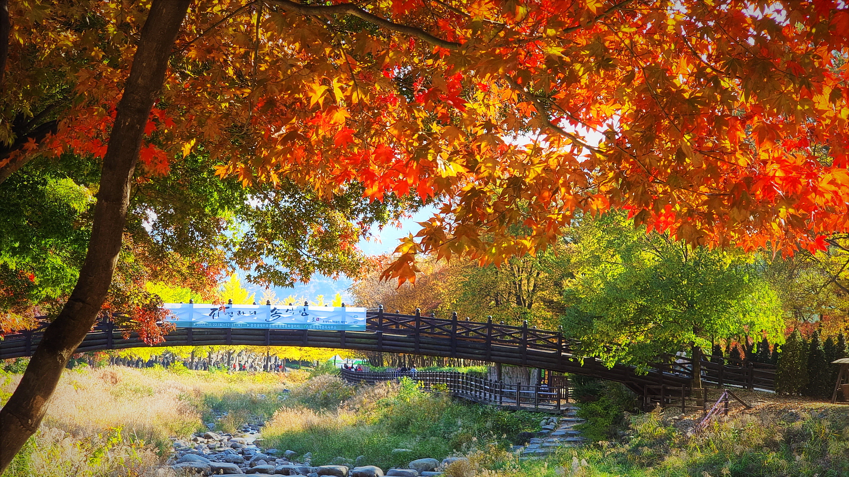   | PHOTO BY : 김세환/명품  |