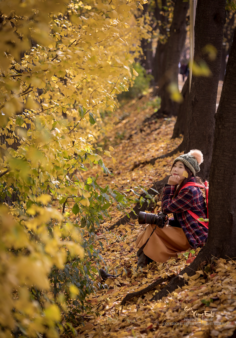   | PHOTO BY : 다이버/서영을  |