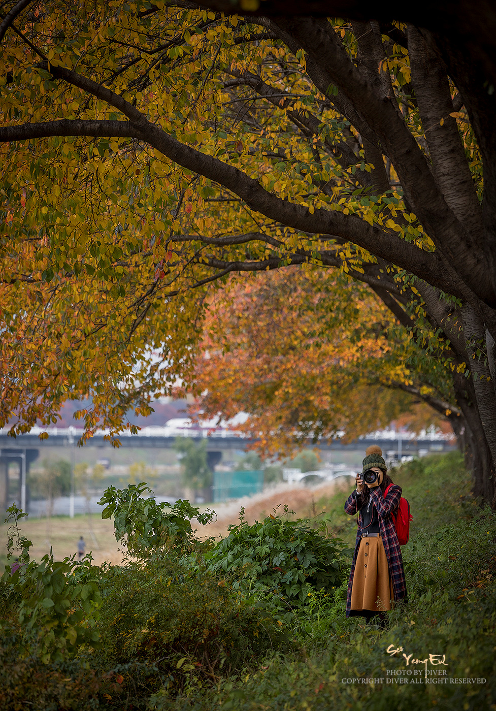   | PHOTO BY : 다이버/서영을  |