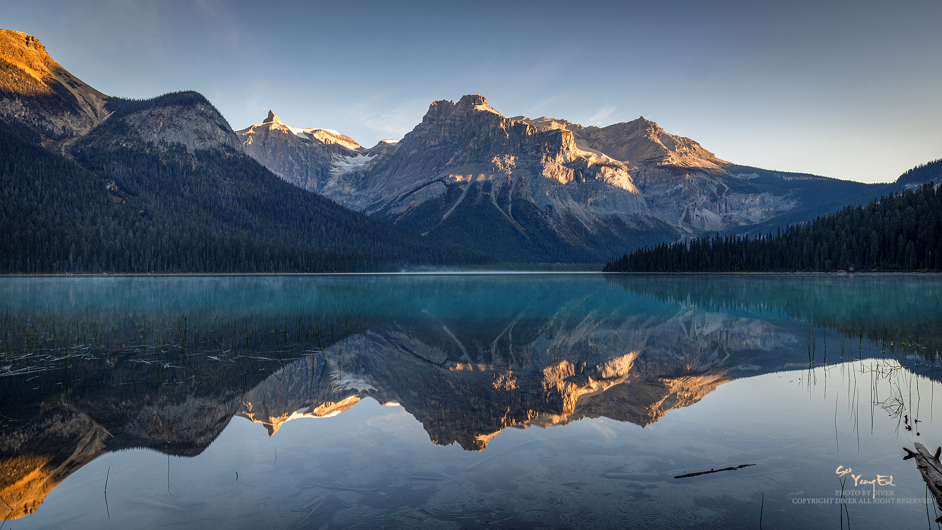   | PHOTO BY : 다이버/서영을  |