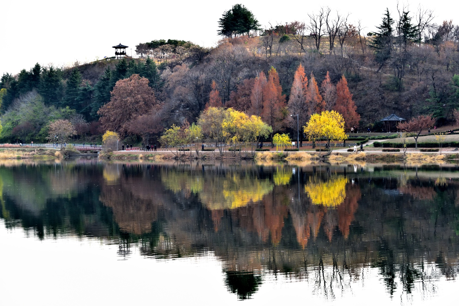   | PHOTO BY : 조기현/해안  |