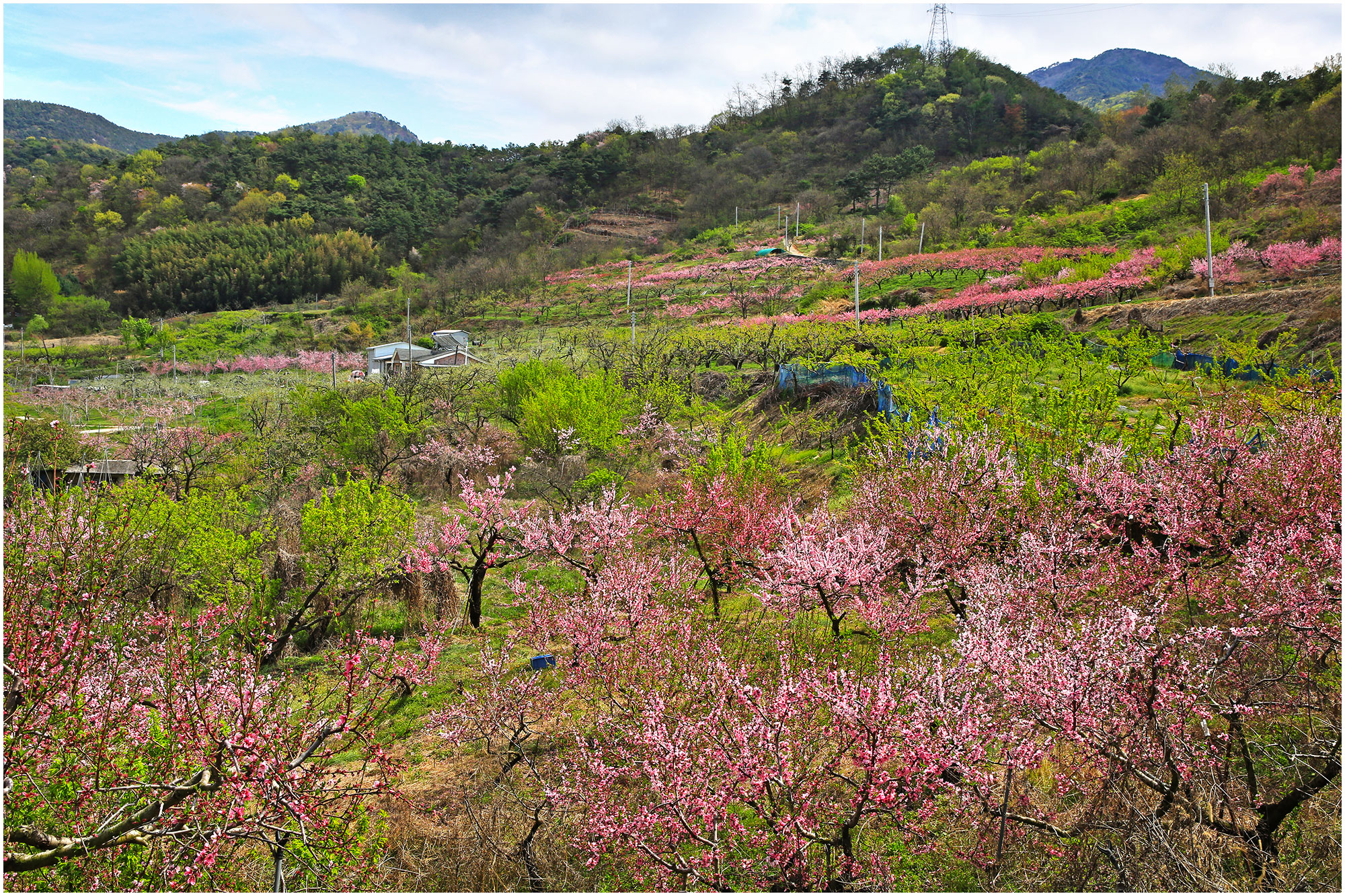   | PHOTO BY : 몰운대/조태열  |