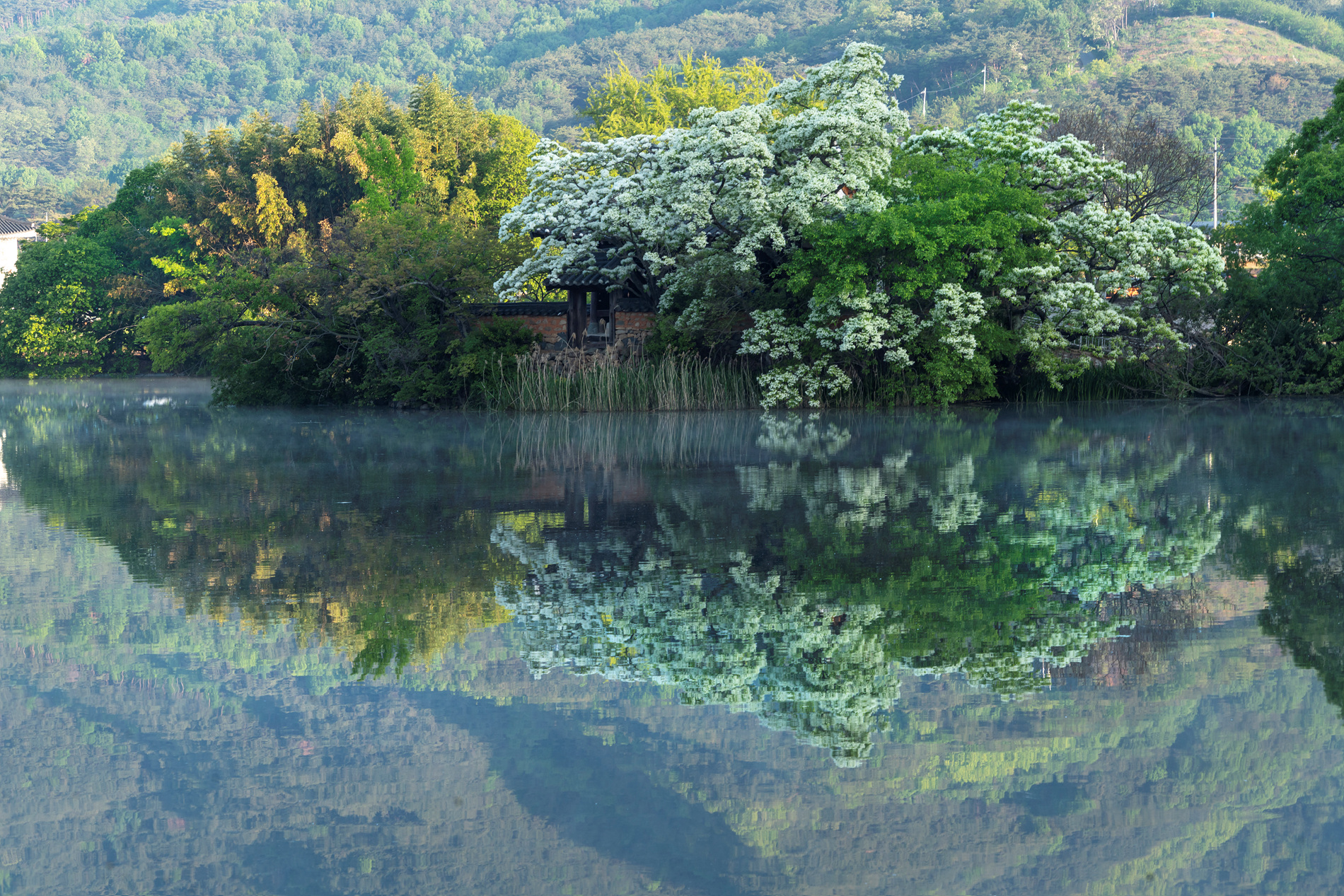   | PHOTO BY : 실상/김익택  |