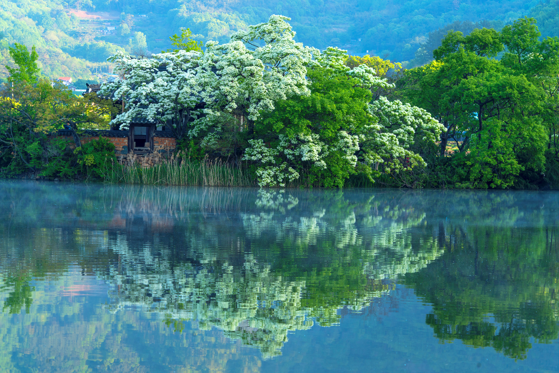   | PHOTO BY : 실상/김익택  |