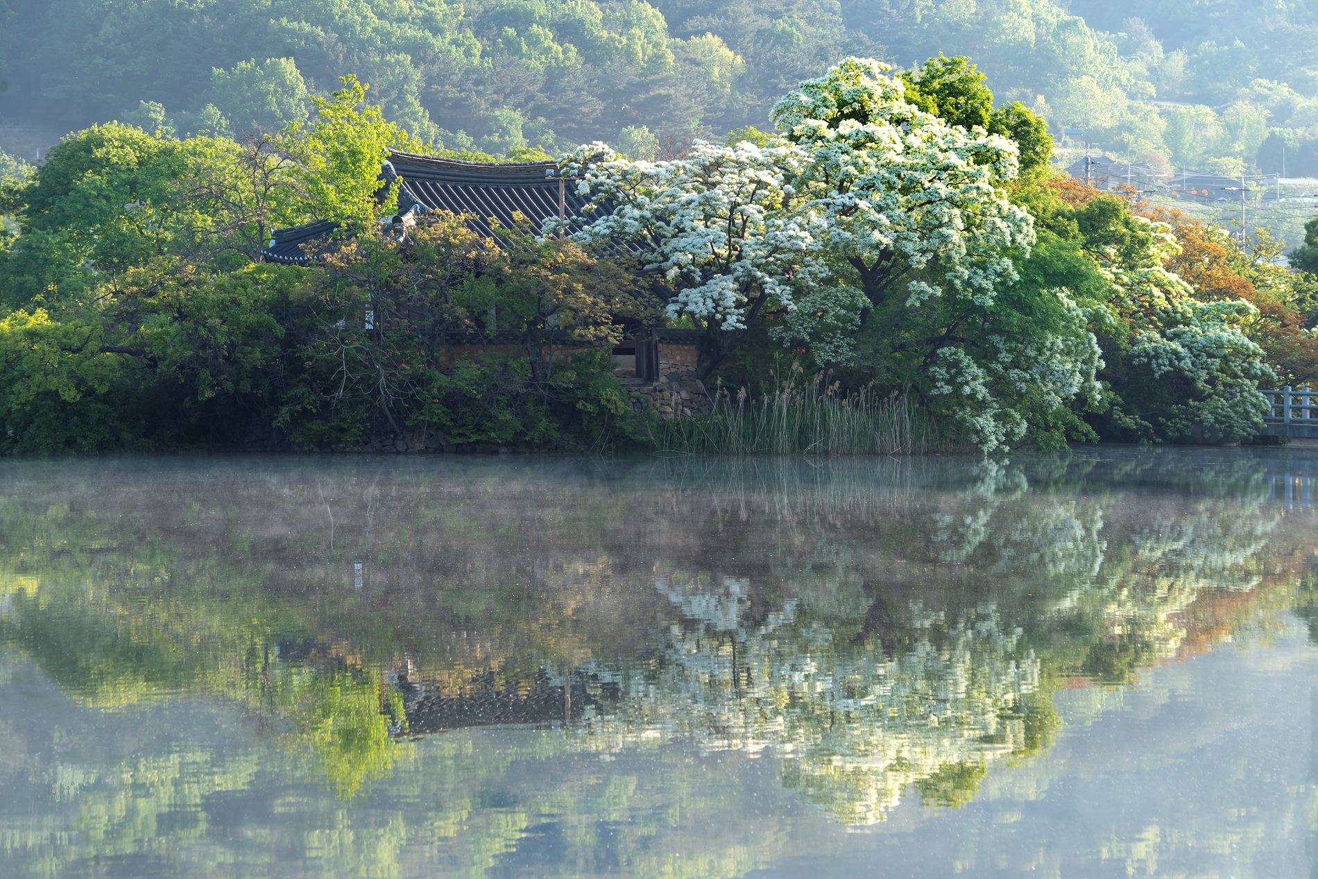   | PHOTO BY : 실상/김익택  |