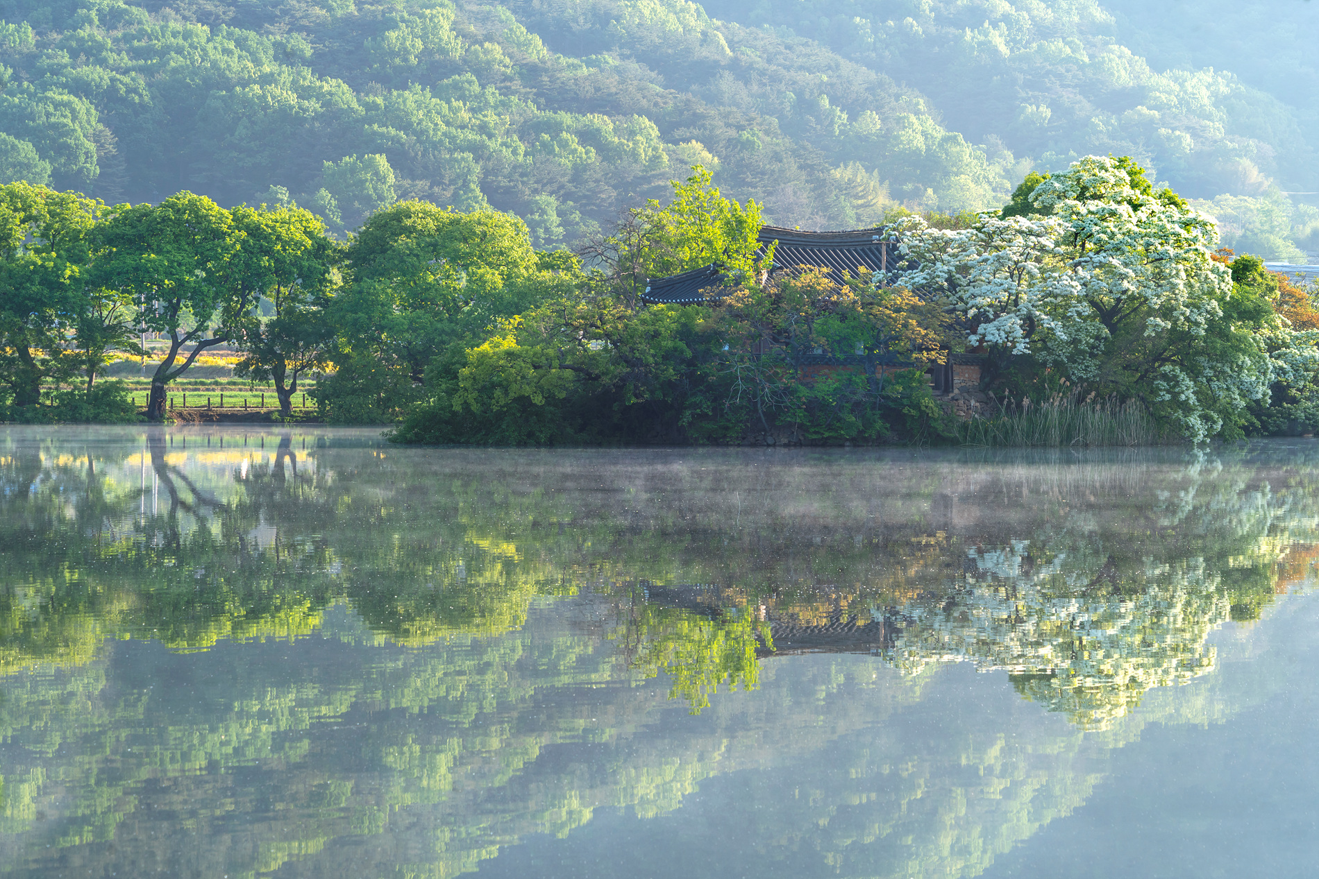   | PHOTO BY : 실상/김익택  |