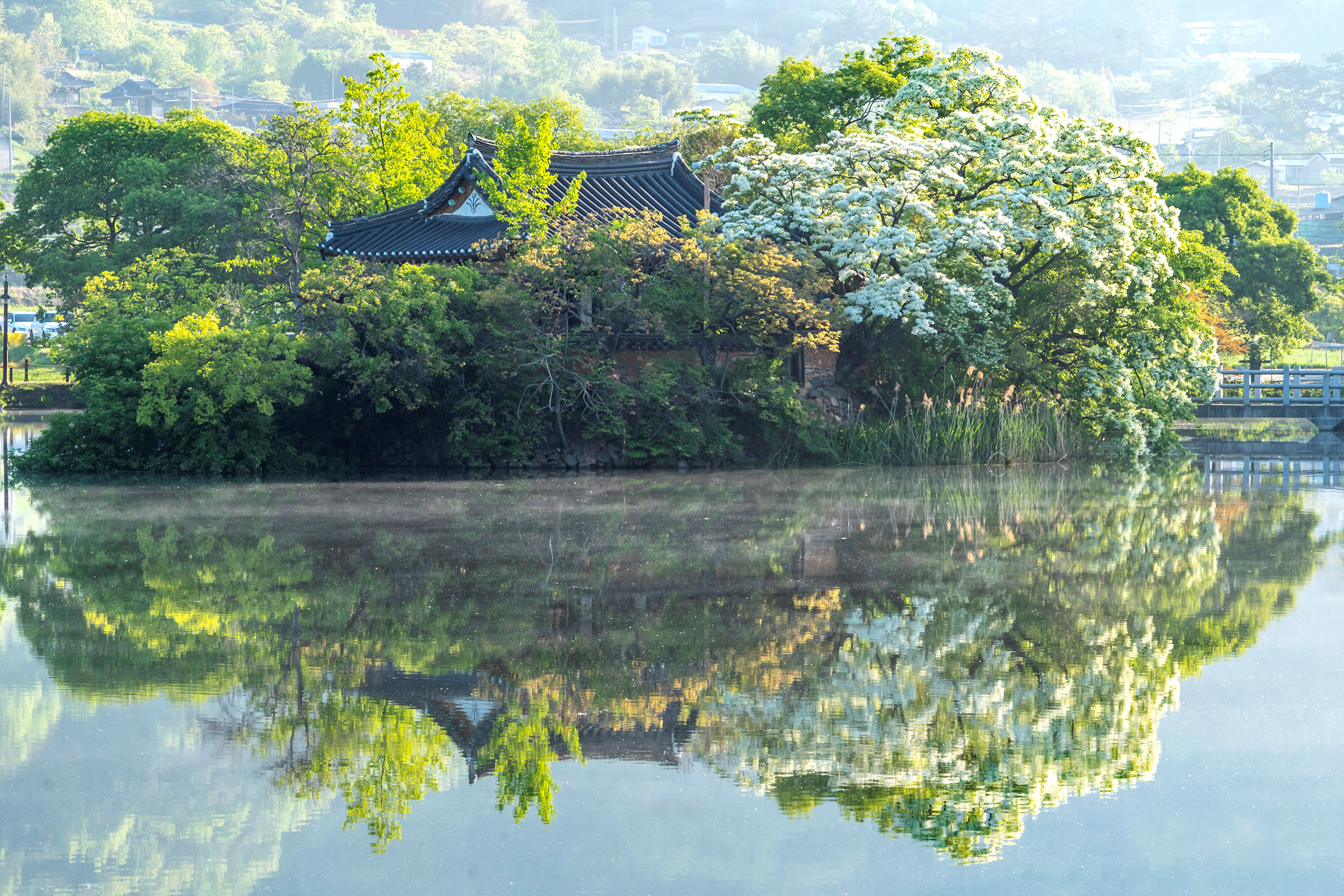   | PHOTO BY : 실상/김익택  |