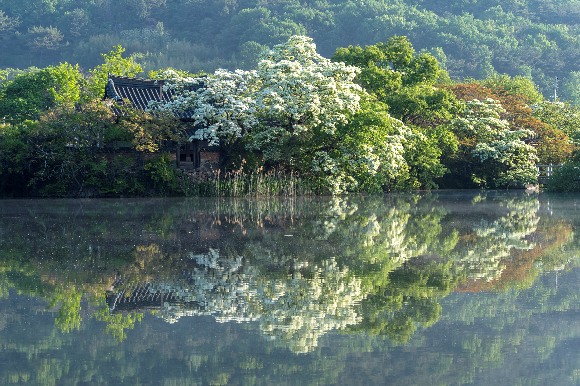   | PHOTO BY : 실상/김익택  |