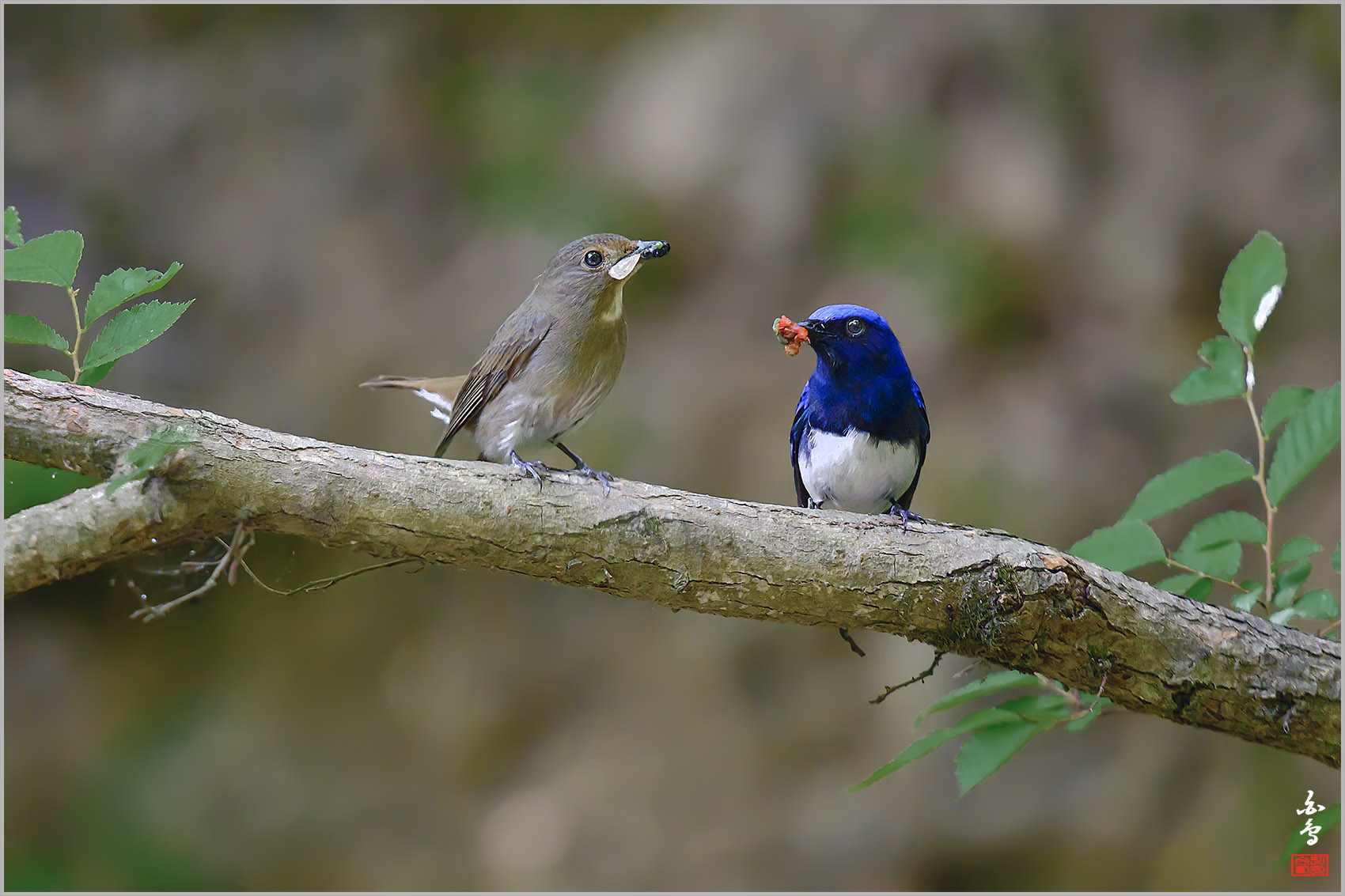   | PHOTO BY : 백조/신숙희  |