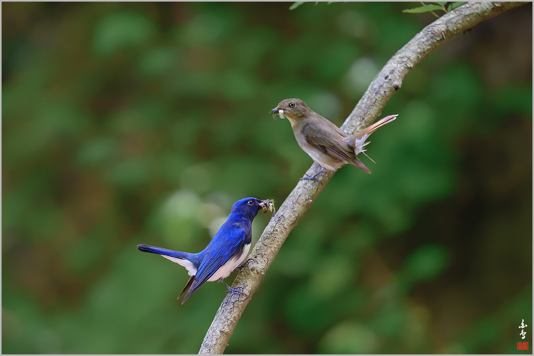   | PHOTO BY : 백조/신숙희  |