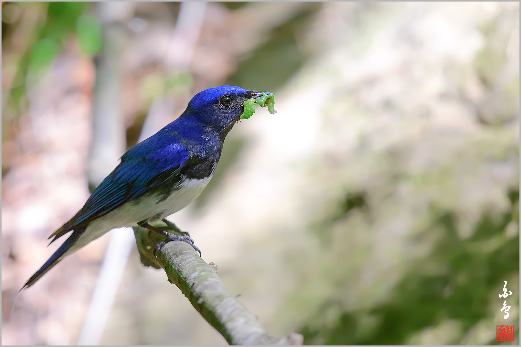   | PHOTO BY : 백조/신숙희  |