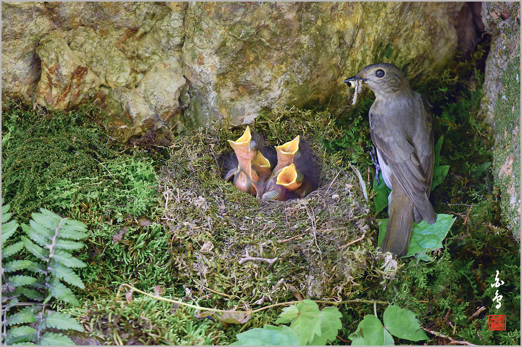   | PHOTO BY : 백조/신숙희  |