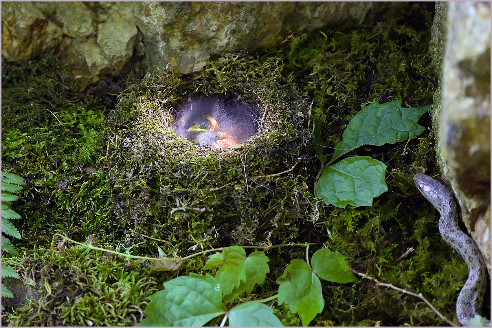   | PHOTO BY : 백조/신숙희  |