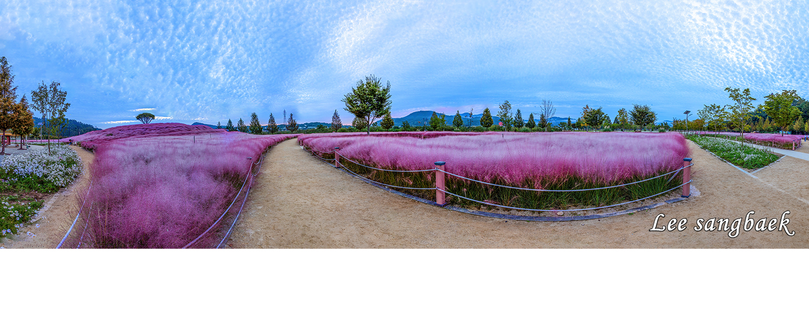 | PHOTO BY : 상백/이상백  |