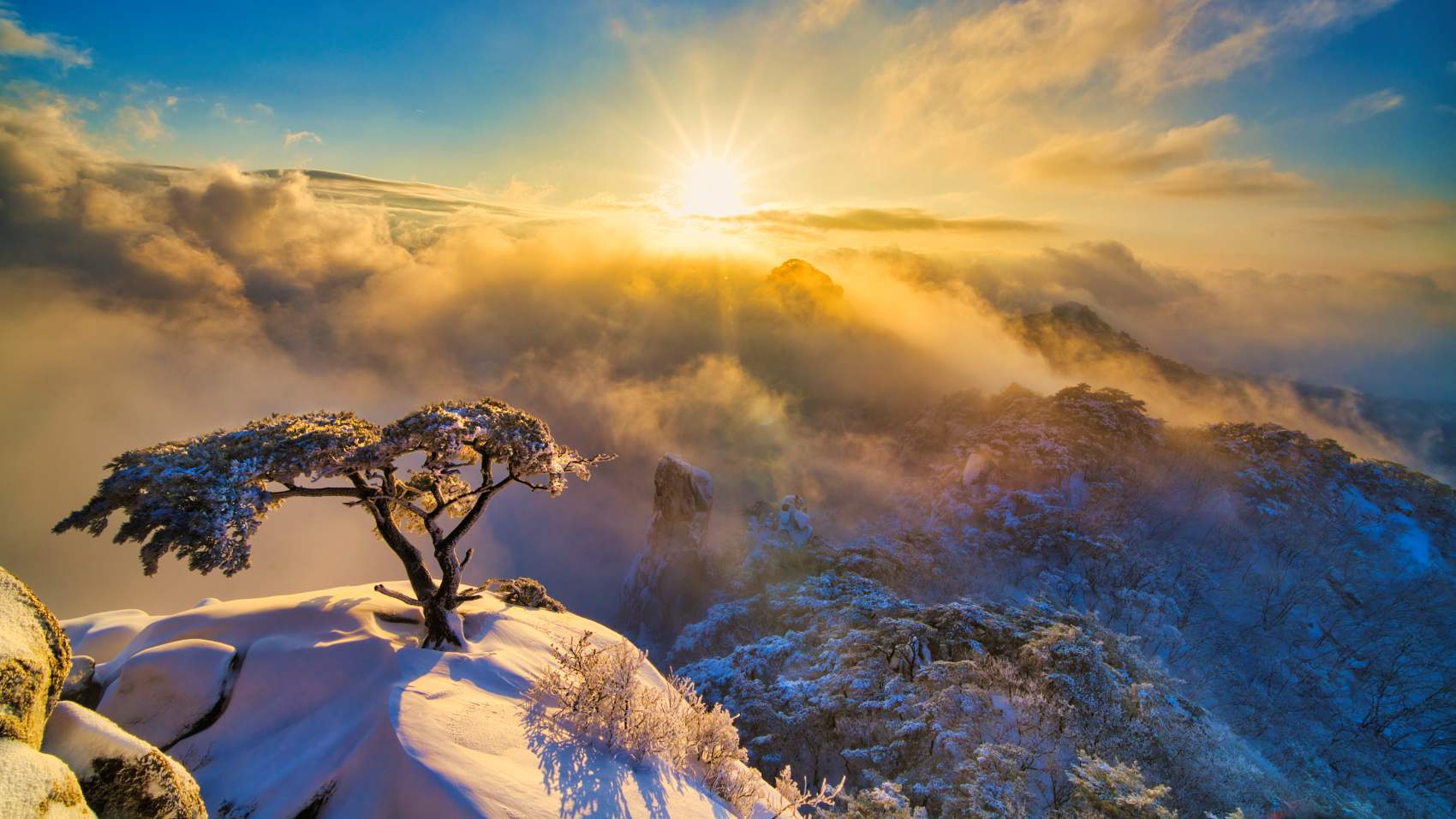 PHOTO BY  | ILCE-7RM5 | 2023:12:31 16:41:19 | ISO-100 | 1/60 sec | f 22 | 16 mm | EV=0 | ● WIDTH:1700 pixels  HEIGHT:956 pixels