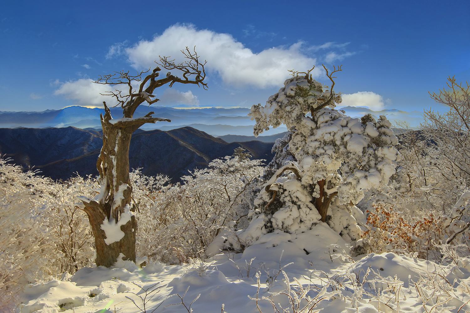 PHOTO BY  | CanonCanon  |  | ISO- |  |  |  | EV=0 | ● WIDTH:  HEIGHT: