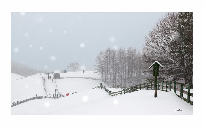 PHOTO BY JUN_MYOUNG_SUK | NIKON D850 | 2023:12:31 11:45:59 | ISO-100 | 1/400 sec | f 7.1 | 60 mm | EV=-1.3 | ● WIDTH:1500 pixels  HEIGHT:996 pixels