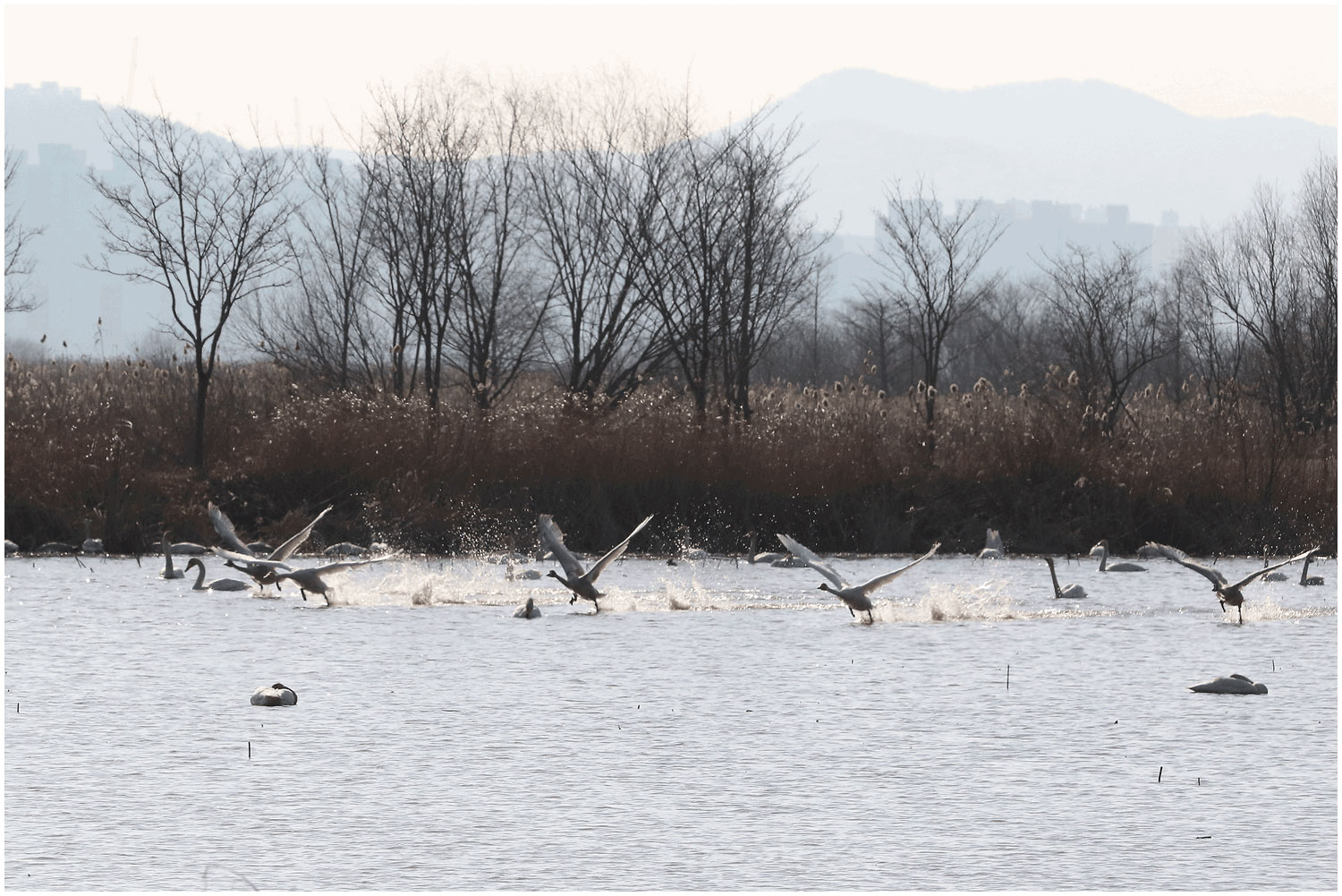 | PHOTO BY : 몰운대/조태열  |