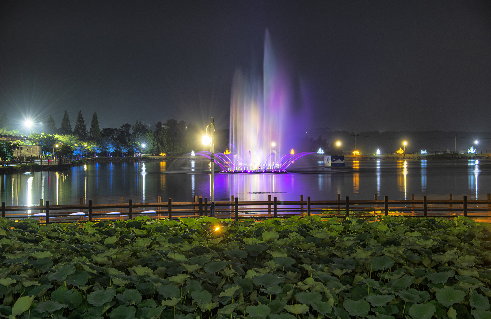 PHOTO BY  | NIKON D850 | 2023:08:20 19:53:42 | ISO-160 | 3/1 sec | f 7.1 | 85 mm | EV=0 | ● WIDTH:1700 pixels  HEIGHT:1106 pixels