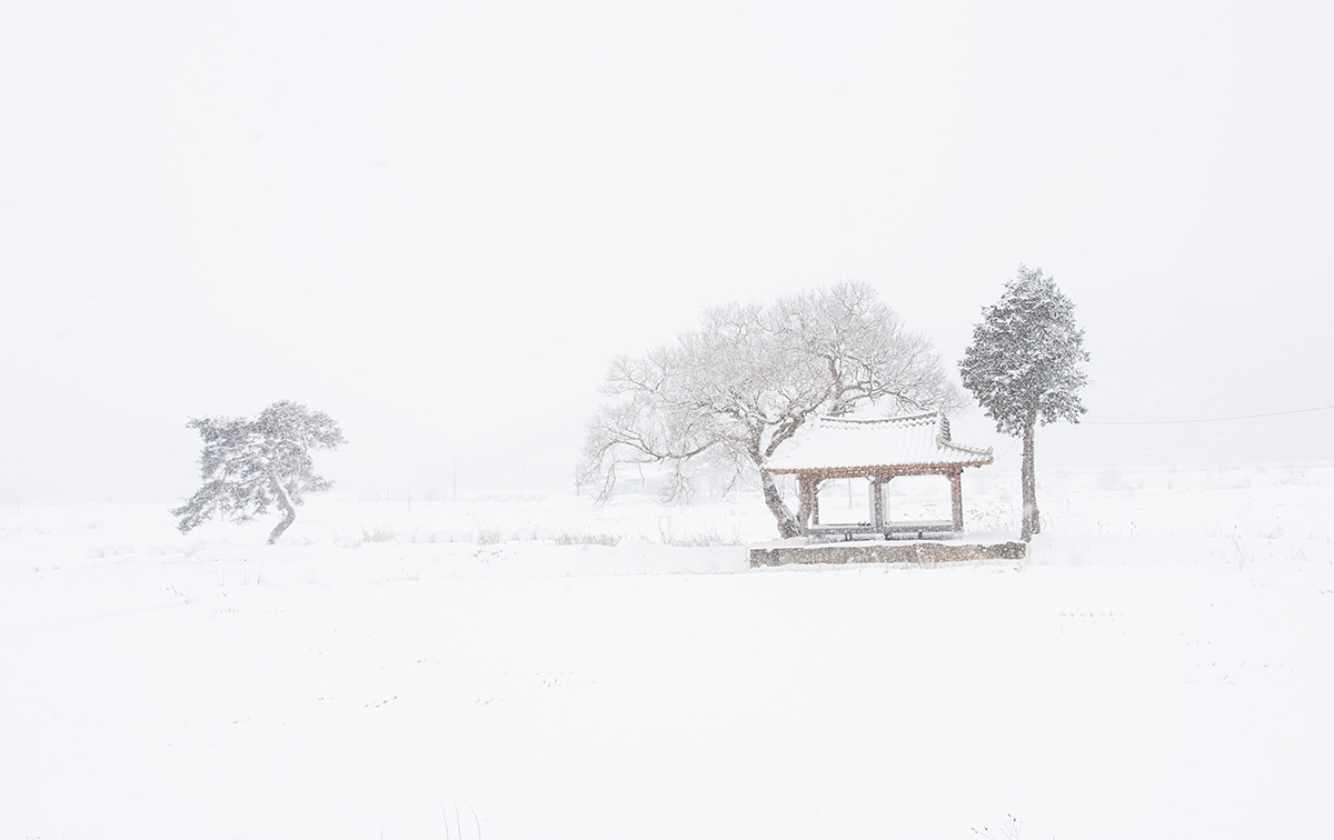 PHOTO BY  | NIKON D810 | 2016:01:24 13:06:29 | ISO-200 | 1/250 sec | f 9 | 38 mm | EV=2 | ● WIDTH:1200 pixels  HEIGHT:756 pixels