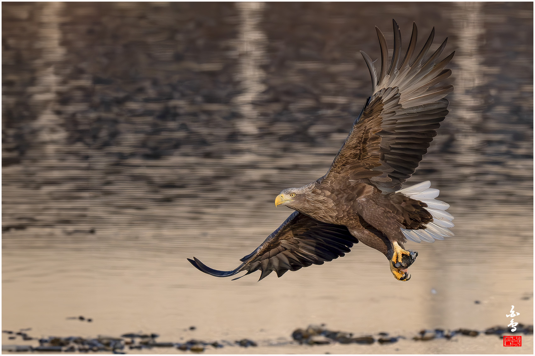 PHOTO BY  | NIKON Z 9 | 2024:01:09 08:36:22 | ISO-2000 | 1/6400 sec | f 7.1 | 840 mm | EV=0 | ● WIDTH:1700 pixels  HEIGHT:1132 pixels