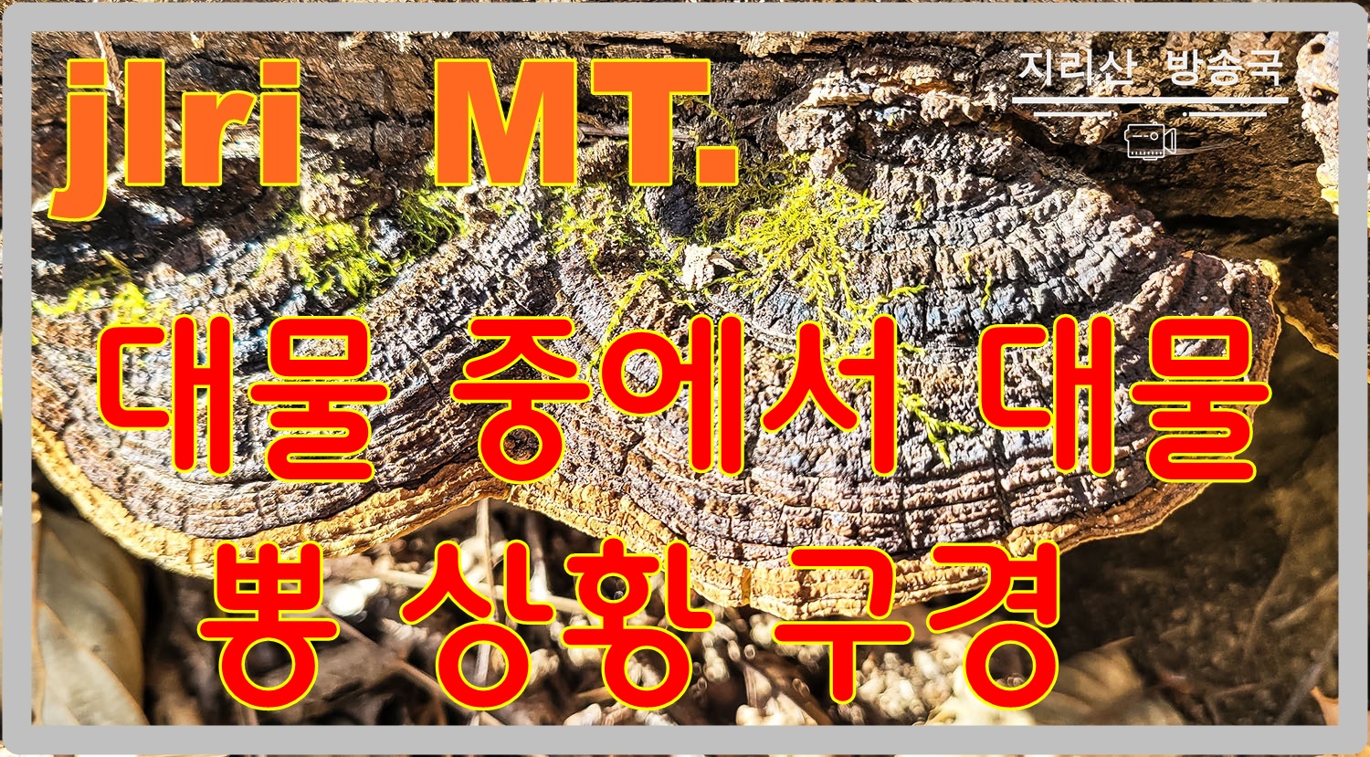 PHOTO BY  | SM-N981N | 2023:12:01 11:03:50 | ISO-40 | 1/170 sec | f 1.8 | 5.4 mm | EV=0 | ● WIDTH:1500 pixels  HEIGHT:829 pixels