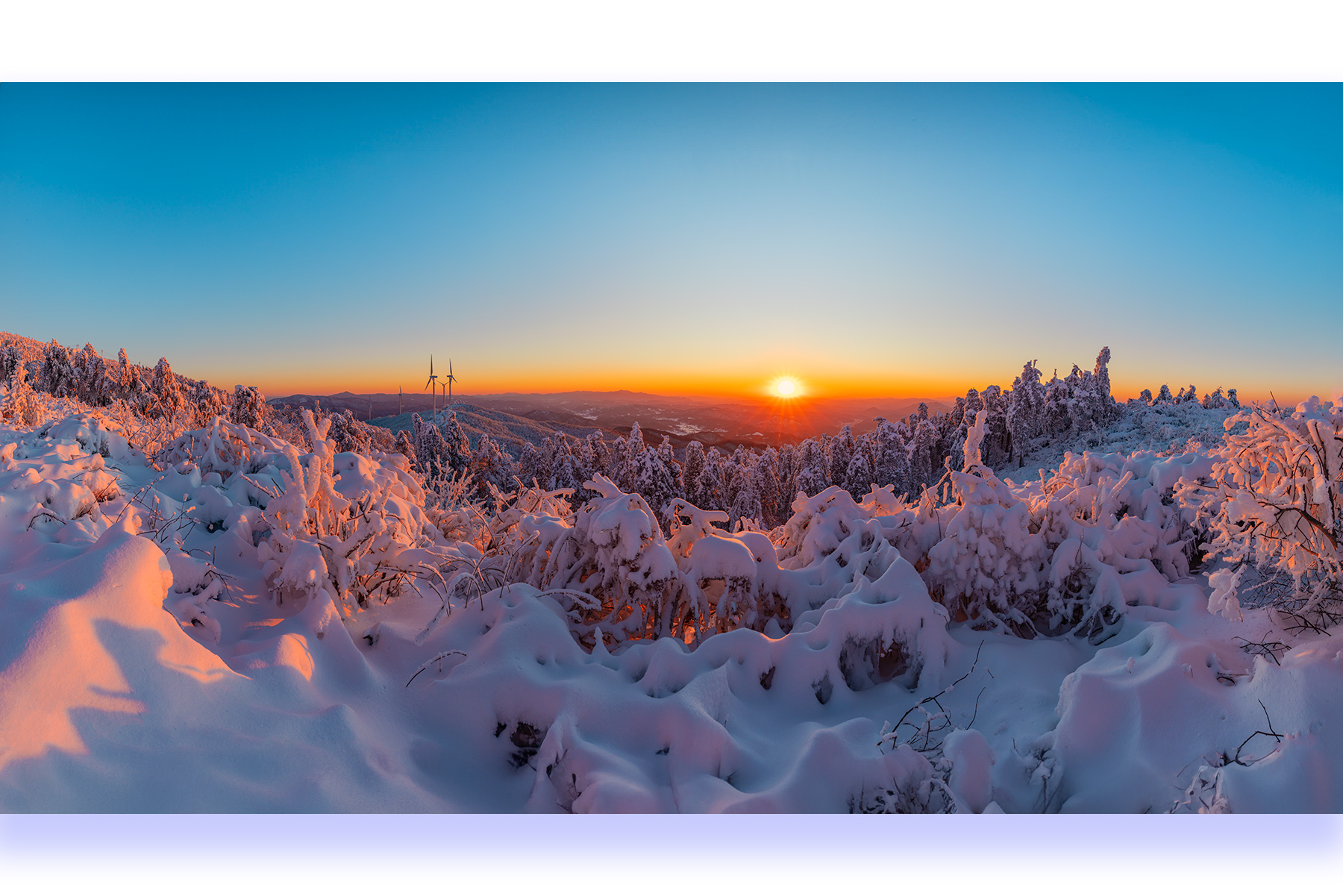 PHOTO BY PARK SEUNGWOO | Canon EOS 5D Mark IV | 2024:01:07 17:28:35 | ISO-125 | 1/50 sec | f 11 | 25 mm | EV=0 | ● WIDTH:1800 pixels  HEIGHT:1201 pixels