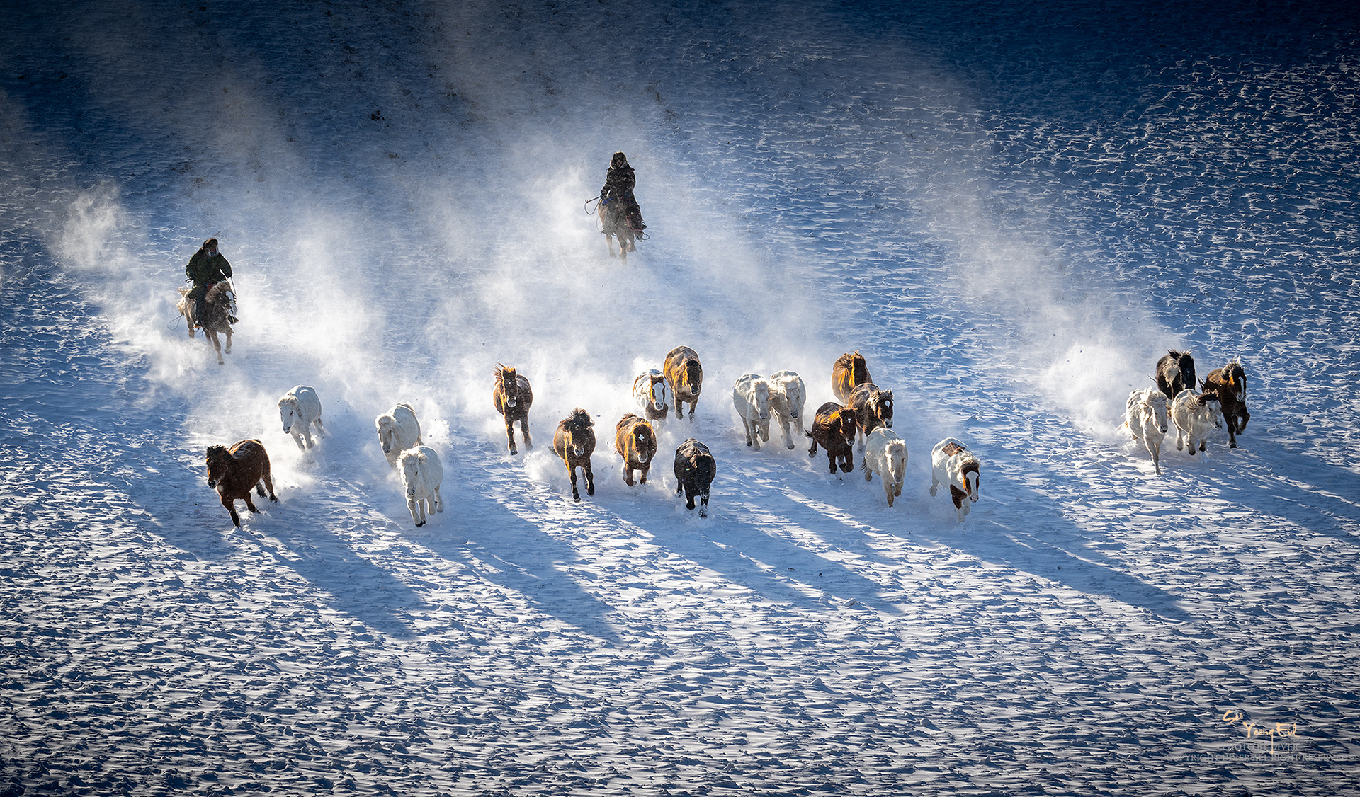 PHOTO BY  | NIKON Z 9 | 2024:01:06 09:55:20 | ISO-100 | 1/160 sec | f 11 | 130 mm | EV=0 | ● WIDTH:1920 pixels  HEIGHT:1126 pixels