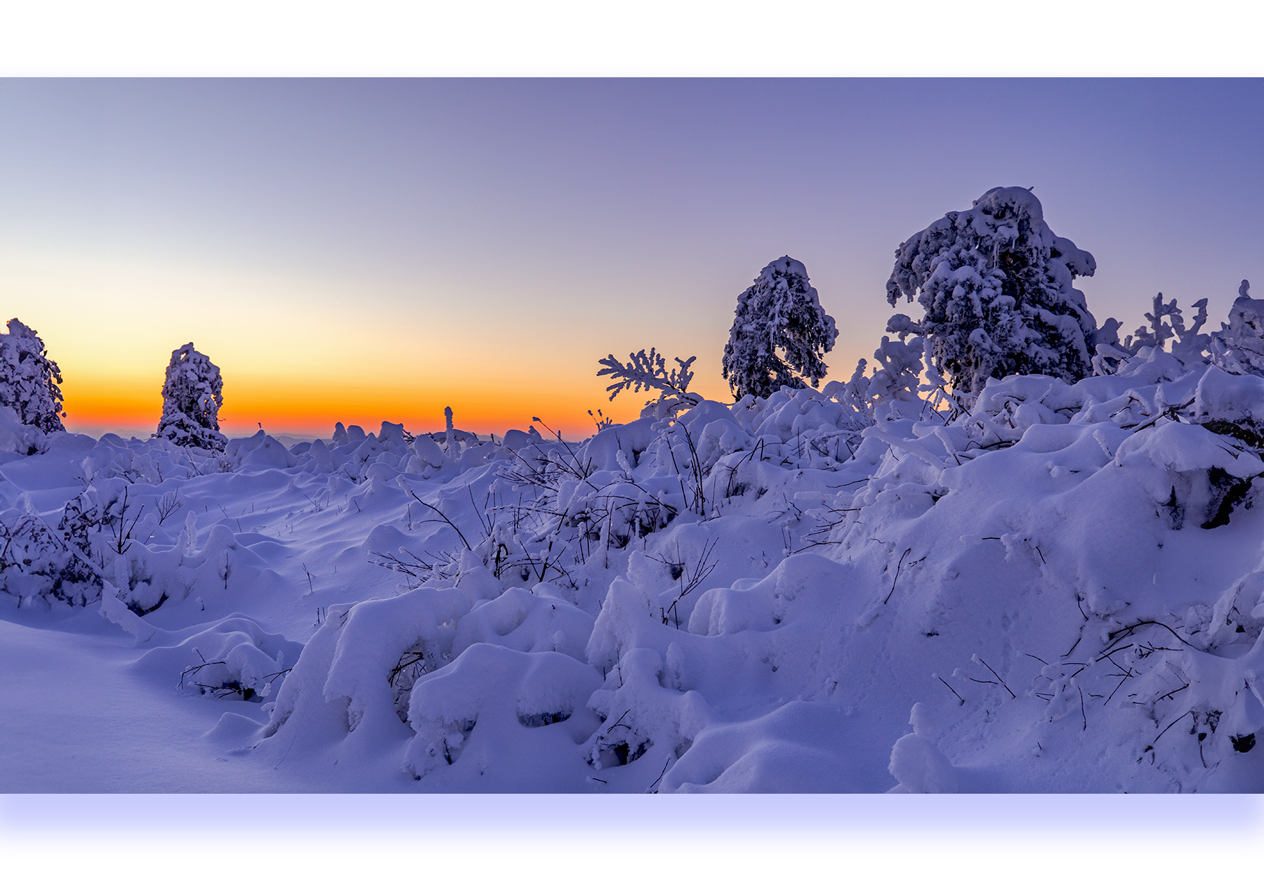 PHOTO BY PARK SEUNGWOO | Canon EOS 5D Mark IV | 2024:01:07 17:40:51 | ISO-125 | 1/30 sec | f 8 | 35 mm | EV=0 | ● WIDTH:1800 pixels  HEIGHT:1240 pixels