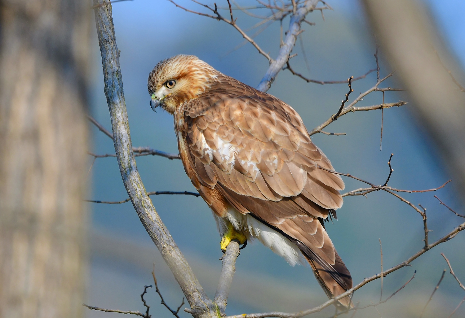 | PHOTO BY : 光陽/김덕수  |