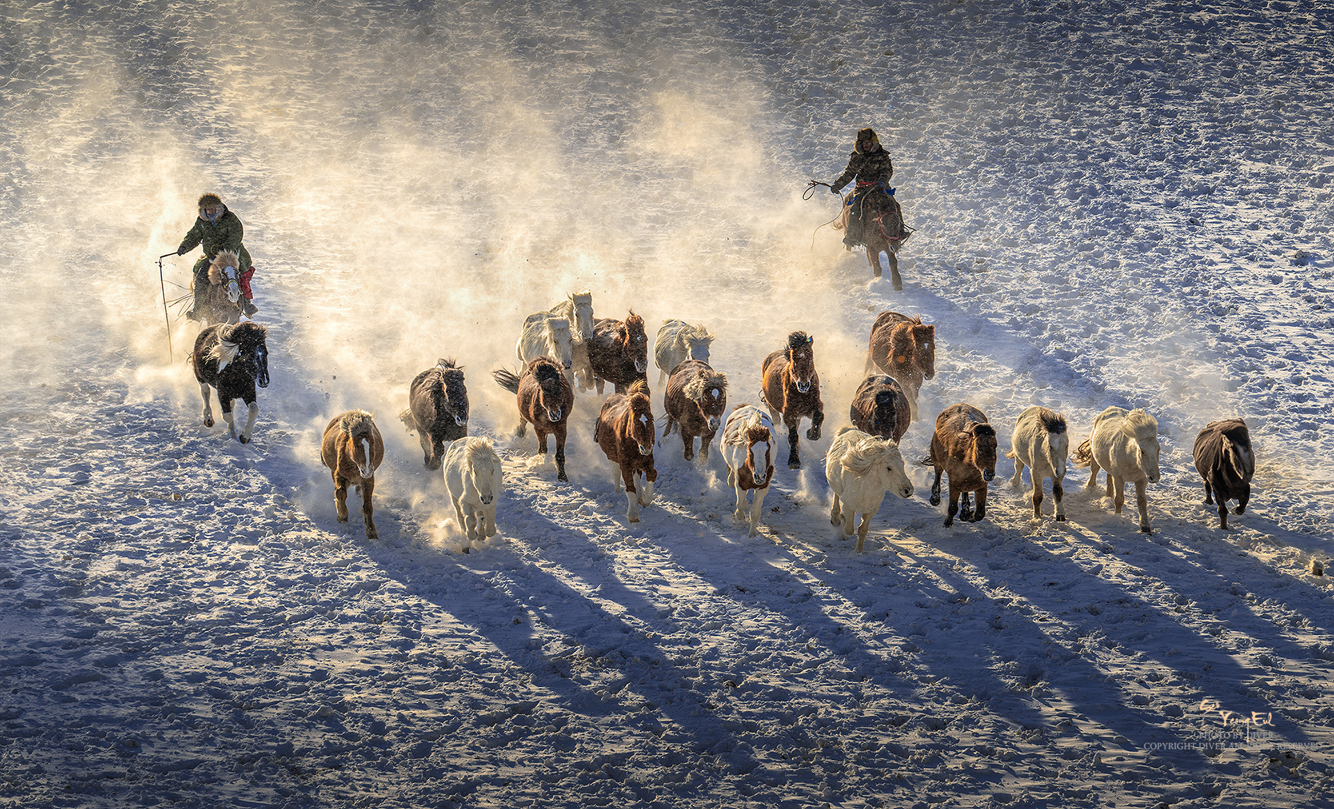 PHOTO BY  | NIKON Z 9 | 2024:01:06 09:57:58 | ISO-100 | 1/250 sec | f 11 | 155 mm | EV=0 | ● WIDTH:1920 pixels  HEIGHT:1165 pixels