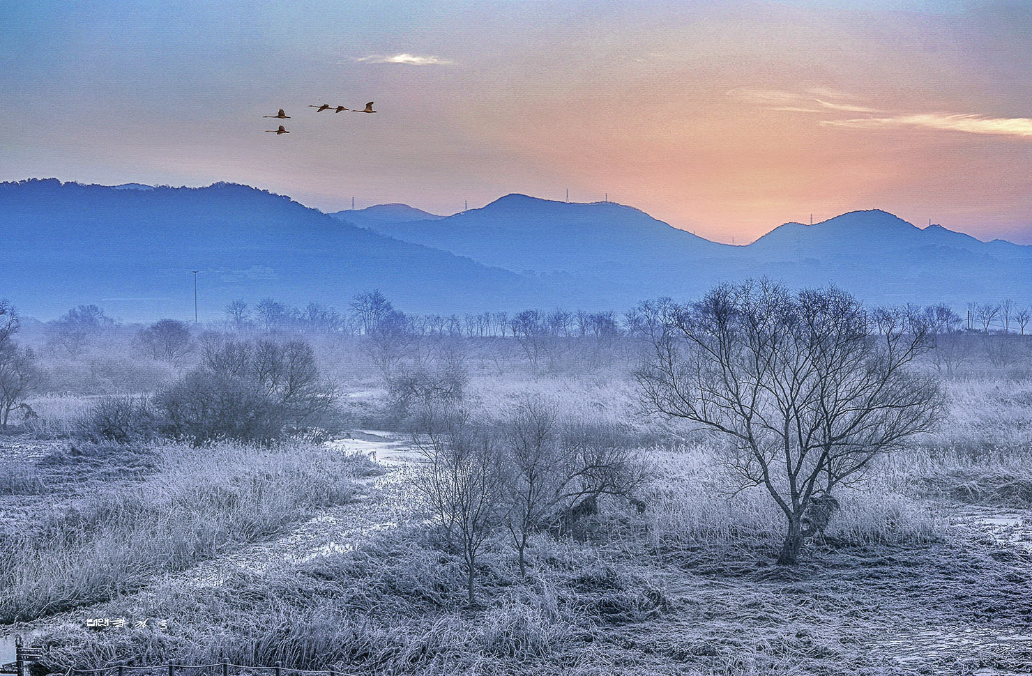 PHOTO BY  | KON CORPO |  | ISO- |  |  |  | EV=0 | ● WIDTH:  HEIGHT: