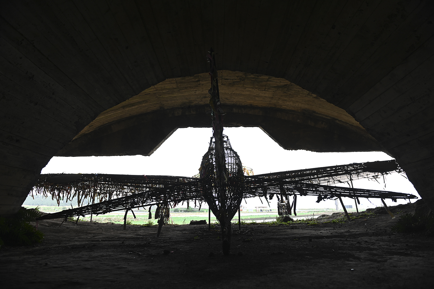 PHOTO BY  | NIKON Z 7 | 2021:01:25 16:49:24 | ISO-400 | 1/160 sec | f 4 | 24 mm | EV=0 | ● WIDTH:1500 pixels  HEIGHT:1000 pixels