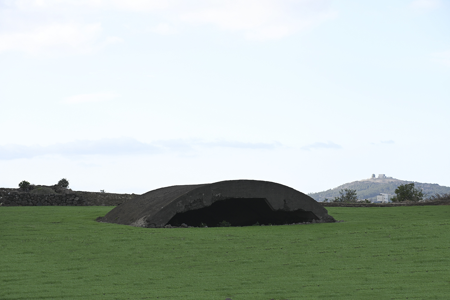 PHOTO BY  | NIKON Z 7 | 2021:01:25 16:56:24 | ISO-400 | 1/1250 sec | f 4 | 70 mm | EV=0 | ● WIDTH:1500 pixels  HEIGHT:1000 pixels